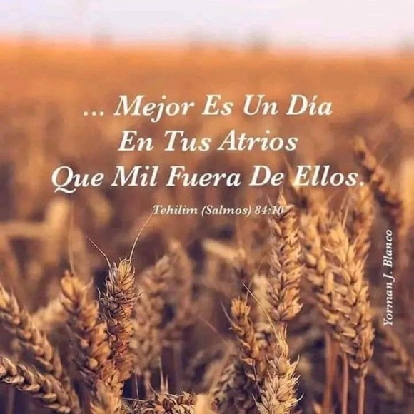 Meet your Posher, Ffjs - Picture 1 of 1